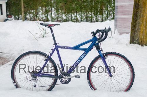 Cannondale Delta V ficha técnica y opiniones